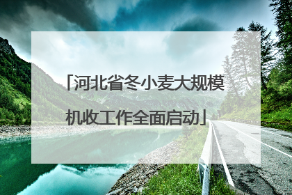 河北省冬小麦大规模机收工作全面启动